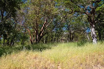 0 Highway 234, Central Point, OR 97502 - Photo 2