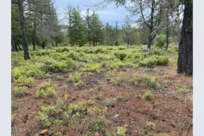32001 Redwood Highway, Cave Junction, OR 97523 - Photo 4