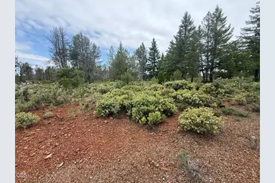 32001 Redwood Highway, Cave Junction, OR 97523 - Photo 8