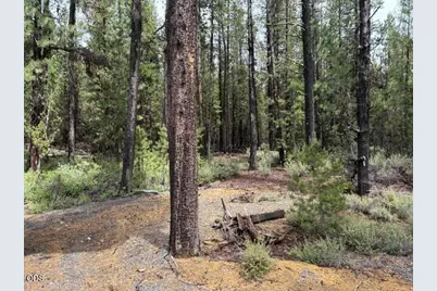 17717 Hwy 58, Crescent Lake, OR 97733 - Photo 50