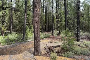 17717 Hwy 58, Crescent Lake, OR 97733 - Photo 50