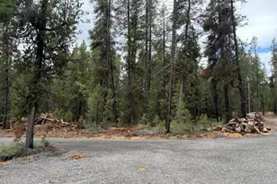 17717 Hwy 58, Crescent Lake, OR 97733 - Photo 48