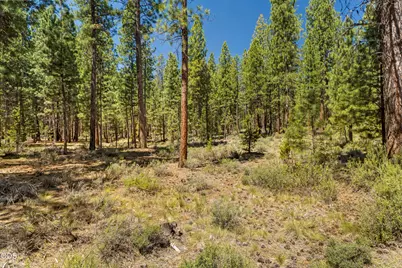 51600 Pine Loop Drive, La Pine, OR 97739 - Photo 12