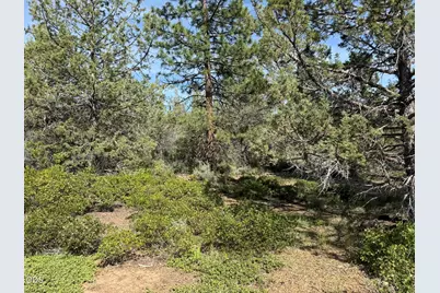 0 Porpoise Lane #Lot 29, Bonanza, OR 97623 - Photo 6