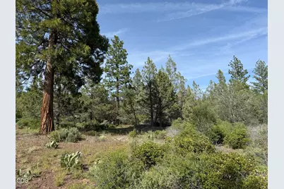0 Porpoise Lane #Lot 29, Bonanza, OR 97623 - Photo 4