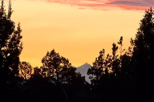 22887 Ghost Tree Ln, Bend, OR 97701 - Photo 66