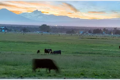 13501 SW Riggs Road, Powell Butte, OR 97753 - Photo 92