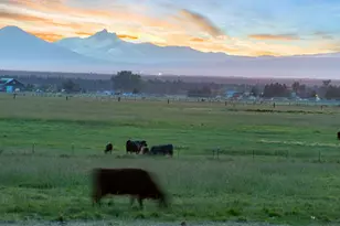 13501 SW Riggs Rd, Powell Butte, OR 97753 - Photo 92