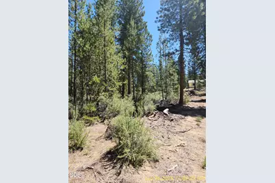 0 Green Forest Drive #22, Chiloquin, OR 97624 - Photo 10