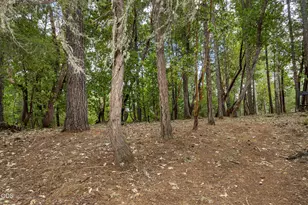 308 Limpy Creek Rd, Grants Pass, OR 97527 - Photo 30