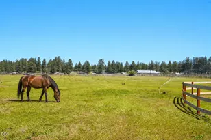 60315 Tekampe Rd, Bend, OR 97702 - Photo 58