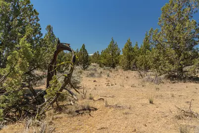 00 SW Blue Jay Road, Terrebonne, OR 97760 - Photo 6