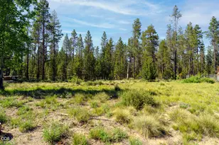 17044 Whittier Dr, Bend, OR 97707 - Photo 18