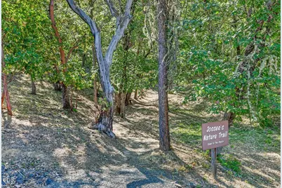 1300 Andrews Place, Jacksonville, OR 97530 - Photo 44