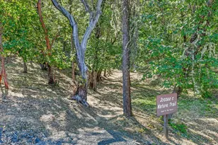 1300 Andrews Pl, Jacksonville, OR 97530 - Photo 44