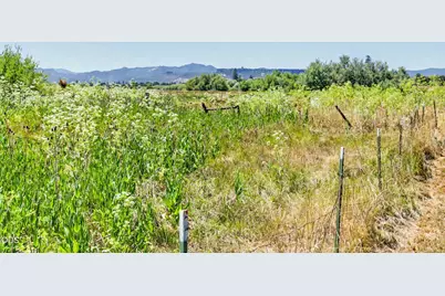 5595 Table Rock Road, Central Point, OR 97502 - Photo 6
