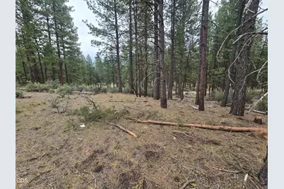 Elde Street #24, Chiloquin, OR 97624 - Photo 8