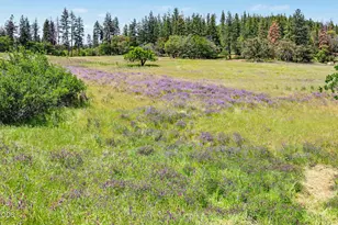 5758 Sterling Creek Rd, Jacksonville, OR 97530 - Photo 42