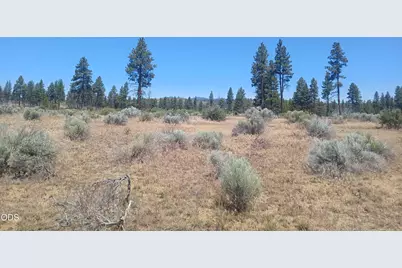 24425 Pheasant Lane, Chiloquin, OR 97624 - Photo 14
