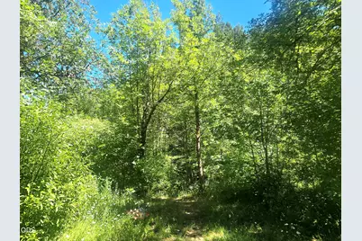3901 Placer Road, Sunny Valley, OR 97497 - Photo 46