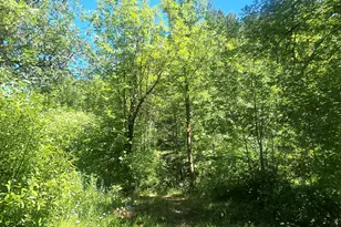 3901 Placer Rd, Sunny Valley, OR 97497 - Photo 46