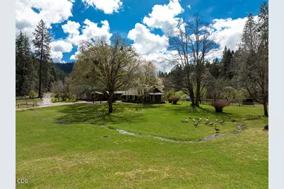 910 Reeves Creek Road, Selma, OR 97538 - Photo 26