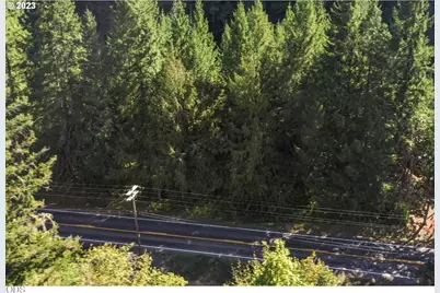 0 Westfir Road #TL 1400, Westfir, OR 97492 - Photo 6