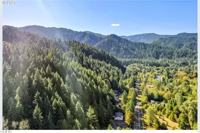 0 Westfir Road #TL 1400, Westfir, OR 97492 - Photo 10