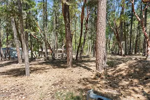 6589 Whispering Pines Ln, Jacksonville, OR 97530 - Photo 56
