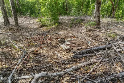 [Address not provided], Cave Junction, OR 97523 - Photo 20