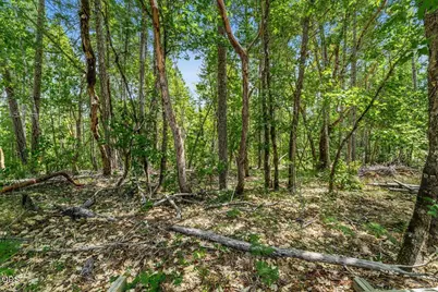 [Address not provided], Cave Junction, OR 97523 - Photo 22