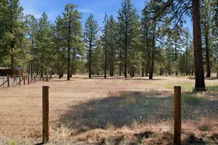 69566 Paint Brush Ln, Sisters, OR 97759 - Photo 56