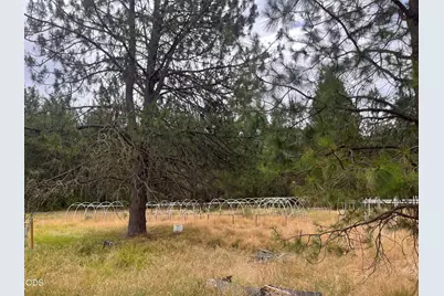 E Evans Creek Road #703, Rogue River, OR 97537 - Photo 22