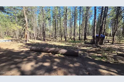 0 Smith Drive #Lot 5, Beatty, OR 97621 - Photo 32