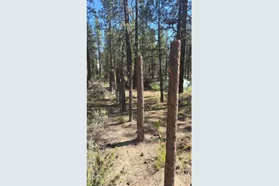 0 Smith Drive #Lot 5, Beatty, OR 97621 - Photo 46