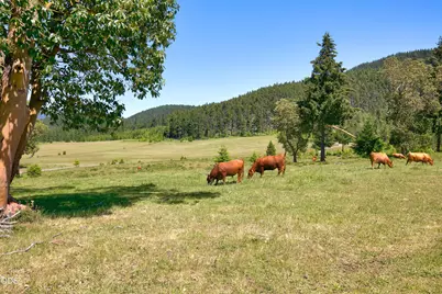 78189 High Prairie Road, Oakridge, OR 97463 - Photo 64