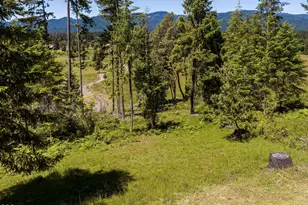 78189 High Prairie Rd, Oakridge, OR 97463 - Photo 58