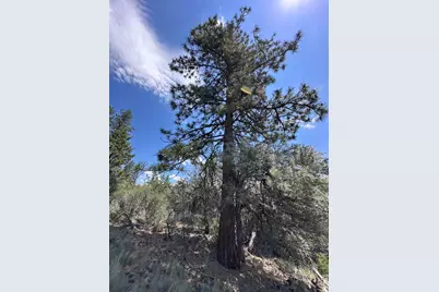 0 Buffalo Ln #Lot 11-12, Bonanza, OR 97623 - Photo 10