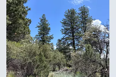 0 Buffalo Ln #Lot 11-12, Bonanza, OR 97623 - Photo 14