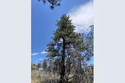 0 Buffalo Ln #Lot 11-12, Bonanza, OR 97623 - Photo 18