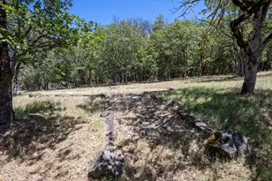 4474 Omaha Ave, Medford, OR 97501 - Photo 8