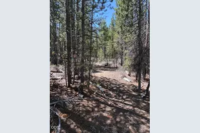 123415 Surveyor Road, Crescent Lake, OR 97733 - Photo 52