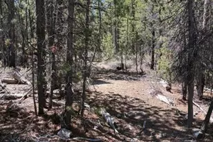 123415 Surveyor Rd, Crescent Lake, OR 97733 - Photo 52