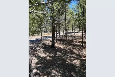 123415 Surveyor Road, Crescent Lake, OR 97733 - Photo 54