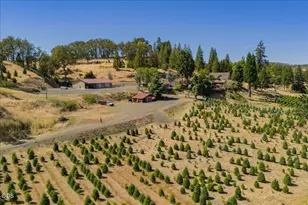 106 Green Valley Rd, Oakland, OR 97462 - Photo 48
