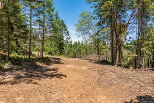 1132 Bridge Ln, Wolf Creek, OR 97497 - Photo 14