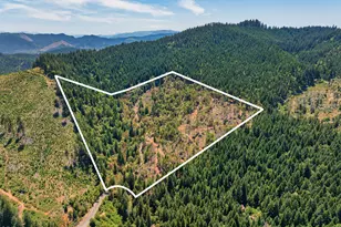 1132 Bridge Ln, Wolf Creek, OR 97497 - Photo 34