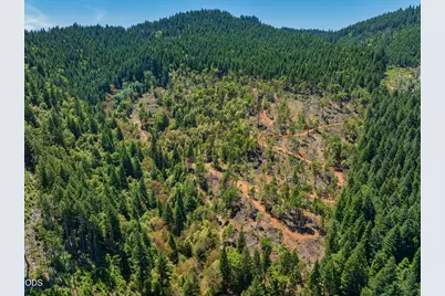 1132 Bridge Lane, Wolf Creek, OR 97497 - Photo 2
