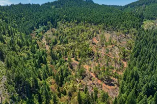 1132 Bridge Ln, Wolf Creek, OR 97497 - Photo 2