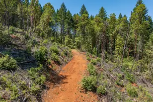 1132 Bridge Ln, Wolf Creek, OR 97497 - Photo 24